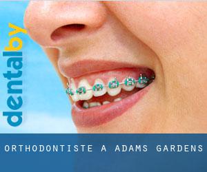 Orthodontiste à Adams Gardens