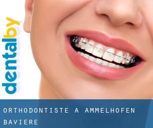 Orthodontiste à Ammelhofen (Bavière)