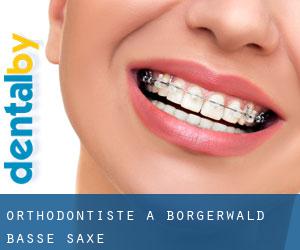 Orthodontiste à Börgerwald (Basse-Saxe)