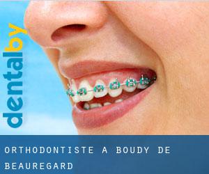 Orthodontiste à Boudy-de-Beauregard