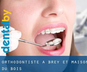 Orthodontiste à Brey-et-Maison-du-Bois