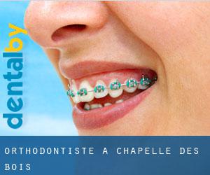 Orthodontiste à Chapelle-des-Bois