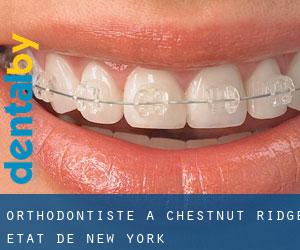 Orthodontiste à Chestnut Ridge (État de New York)
