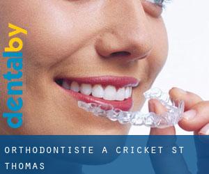 Orthodontiste à Cricket St Thomas