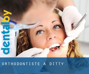 Orthodontiste à Ditty