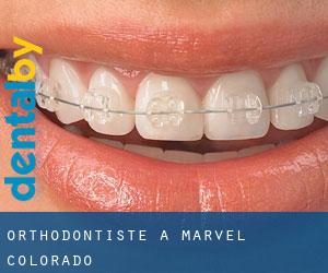 Orthodontiste à Marvel (Colorado)