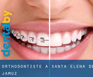 Orthodontiste à Santa Elena de Jamuz