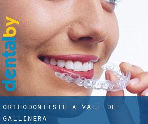 Orthodontiste à Vall de Gallinera