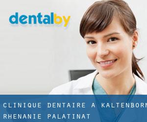Clinique dentaire à Kaltenborn (Rhénanie-Palatinat)
