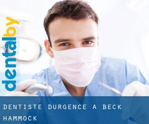 Dentiste d'urgence à Beck Hammock