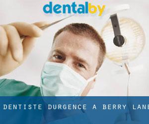 Dentiste d'urgence à Berry Lane