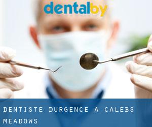 Dentiste d'urgence à Calebs Meadows