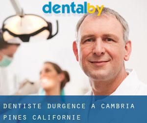 Dentiste d'urgence à Cambria Pines (Californie)