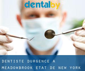 Dentiste d'urgence à Meadowbrook (État de New York)