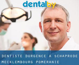 Dentiste d'urgence à Schaprode (Mecklembourg-Poméranie)