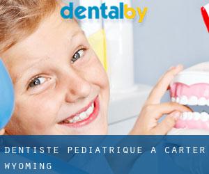 Dentiste pédiatrique à Carter (Wyoming)