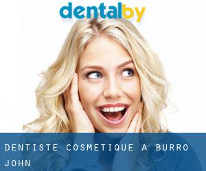 Dentiste cosmétique à Burro John