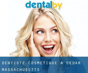 Dentiste cosmétique à Cedar (Massachusetts)