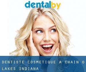 Dentiste cosmétique à Chain-O-Lakes (Indiana)