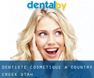 Dentiste cosmétique à Country Creek (Utah)