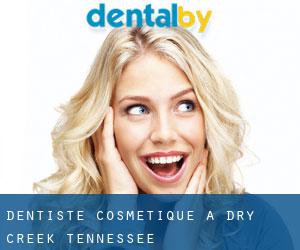 Dentiste cosmétique à Dry Creek (Tennessee)
