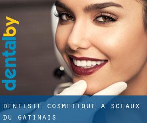 Dentiste cosmétique à Sceaux-du-Gâtinais