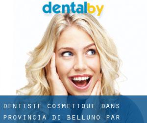 Dentiste cosmétique dans Provincia di Belluno par municipalité - page 1