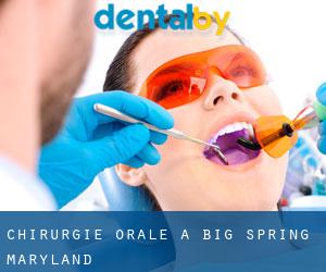 Chirurgie orale à Big Spring (Maryland)
