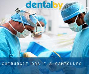 Chirurgie orale à Cambounès