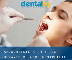 Parodontiste à Am Stein (Rhénanie du Nord-Westphalie)