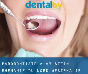 Parodontiste à Am Stein (Rhénanie du Nord-Westphalie)