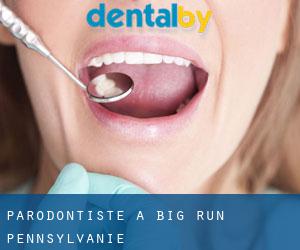 Parodontiste à Big Run (Pennsylvanie)