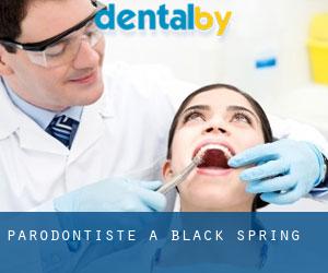 Parodontiste à Black Spring