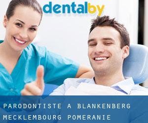 Parodontiste à Blankenberg (Mecklembourg-Poméranie)