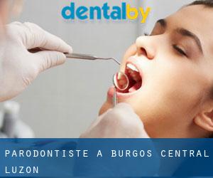 Parodontiste à Burgos (Central Luzon)