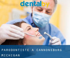 Parodontiste à Cannonsburg (Michigan)
