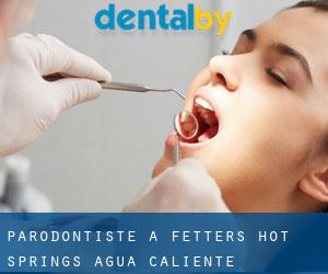Parodontiste à Fetters Hot Springs-Agua Caliente