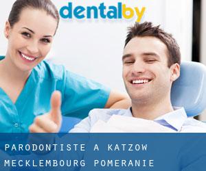Parodontiste à Katzow (Mecklembourg-Poméranie)