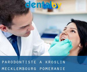 Parodontiste à Kröslin (Mecklembourg-Poméranie)