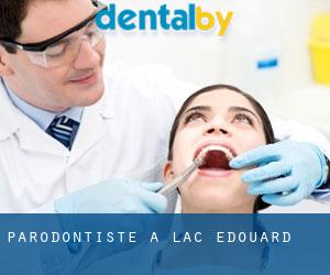 Parodontiste à Lac-Édouard