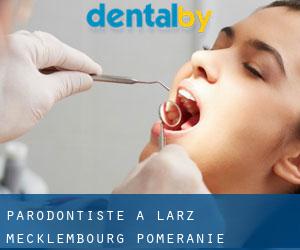 Parodontiste à Lärz (Mecklembourg-Poméranie)