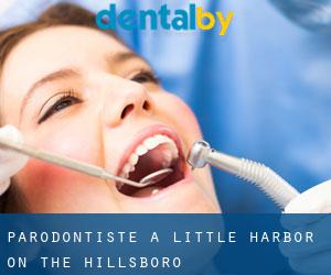 Parodontiste à Little Harbor on the Hillsboro