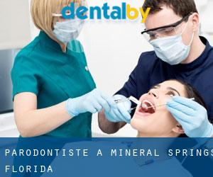 Parodontiste à Mineral Springs (Florida)