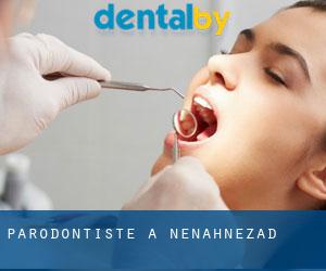 Parodontiste à Nenahnezad