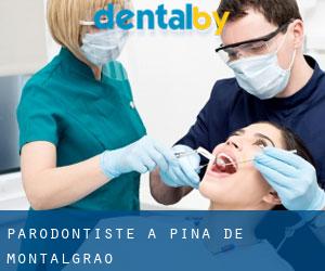 Parodontiste à Pina de Montalgrao