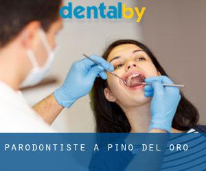 Parodontiste à Pino del Oro