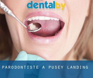 Parodontiste à Pusey Landing