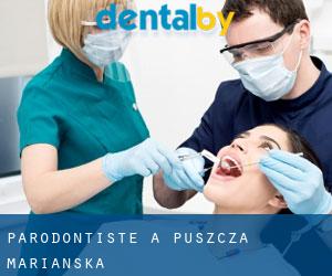 Parodontiste à Puszcza Mariańska