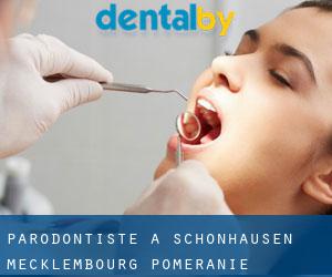 Parodontiste à Schönhausen (Mecklembourg-Poméranie)