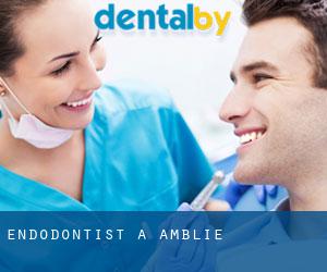 Endodontist à Amblie